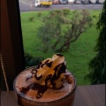 Travelling with Nokia Lumia 920 [Camera Quality Review]